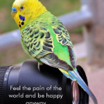 be_happy