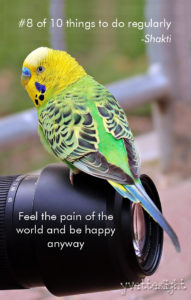 be happy anyway
