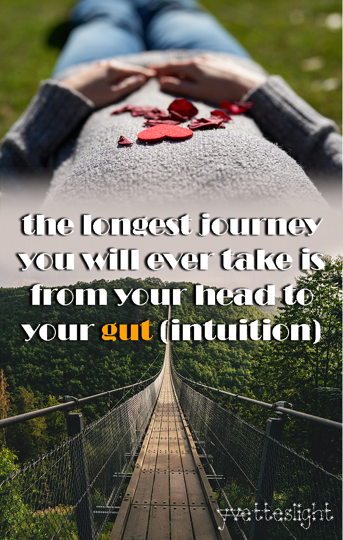 Journey to gut